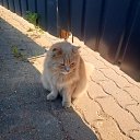 ���� ���, ��������, 26 ��� - ��������� 12 ������� 2023 � ������ ���� ����������