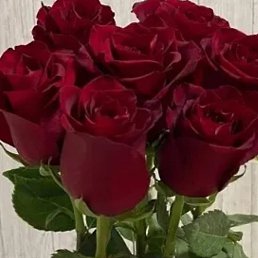 ��������, ���������, 46 ���