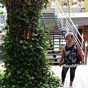 ���� ���������, ������, 71 ��� - ��������� 9 ���� 2023 � ������ ���� ����������