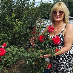 ���� ������, ��������, 63 ���� - ��������� 16 �������� 2023