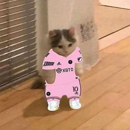 Karla, ���������, 30 ���