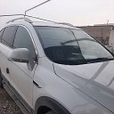 ���� ����, �������, 41 ��� - ��������� 7 ������� 2023