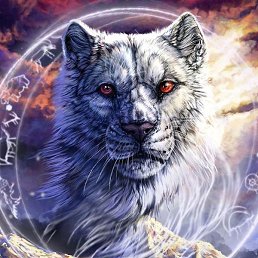 ��������, ������, 44 ����