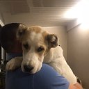 ���� ������, ��������, 40 ��� - ��������� 21 ������� 2023 � ������ ���� ����������