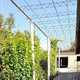 �������, �������, 39 ���