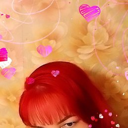 �����, �����������, 42 ����