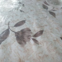 Tenha, ����, 48 ���