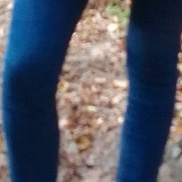 �������, ������, 51 ���