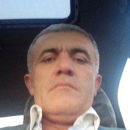 ����, �����-���������, 48 ���