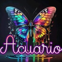 Alberto, ������, 52 ����