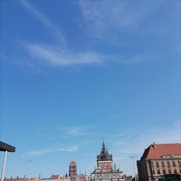 ������, ������, 54 ����