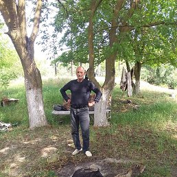 �����, ������, 61 ���