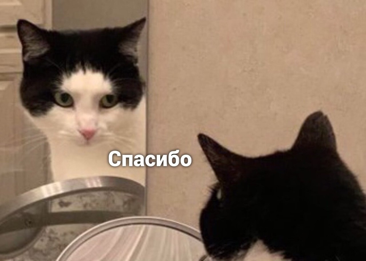 ������� � ����) - 3