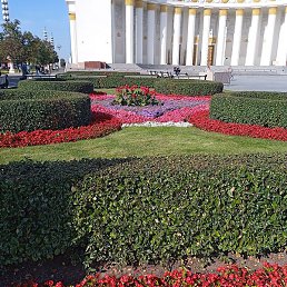 ������, ������, 60 ���