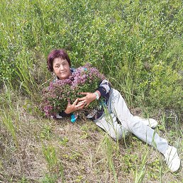 ���� ����, ���������, 66 ��� - ��������� 14 ������� 2023