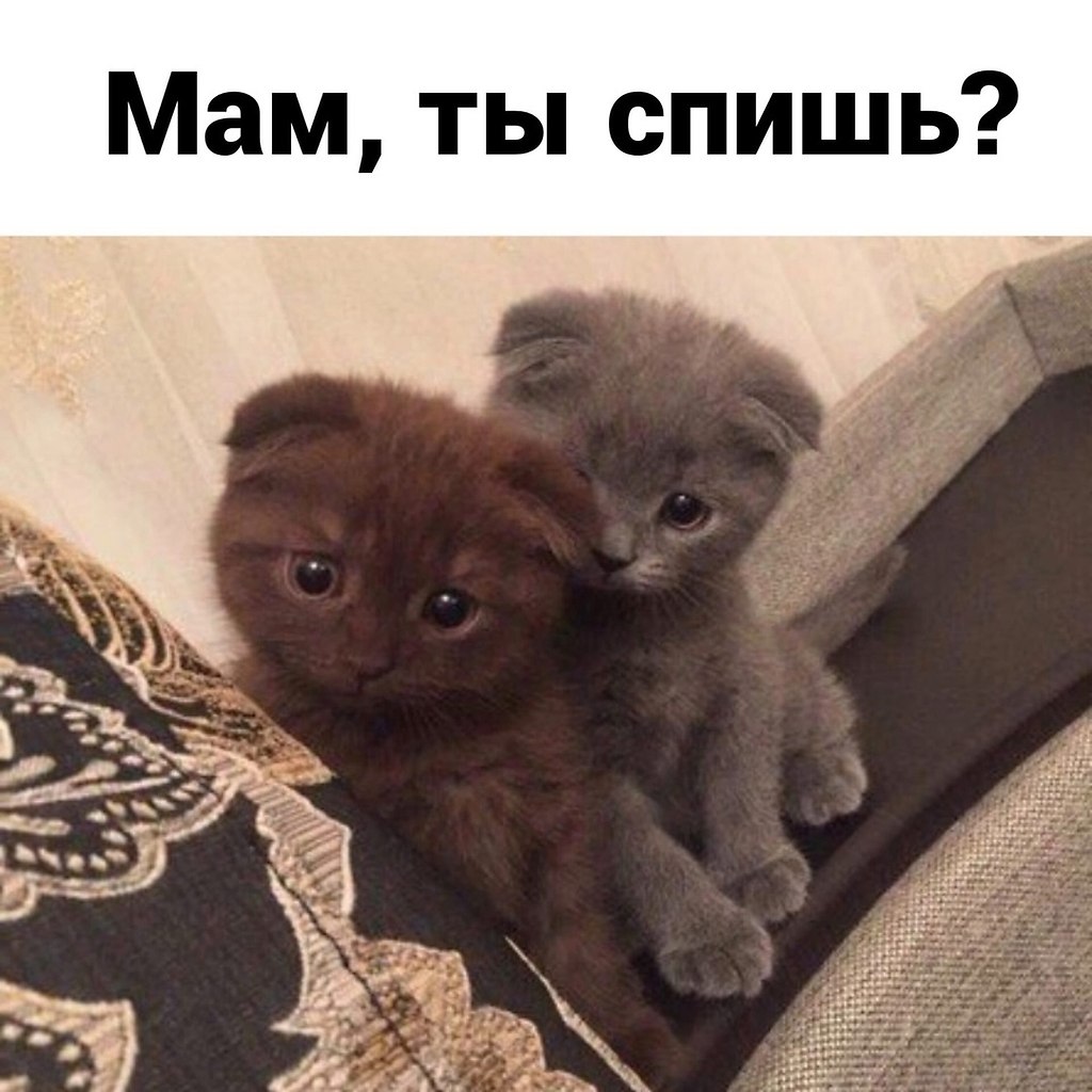    )
