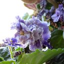 ���� �������, ������������, 58 ��� - ��������� 2 ���� 2023