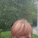 ���� �����, ������������, 43 ���� - ��������� 10 ������� 2023