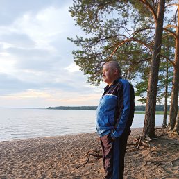 ���� ����, �����-���������, 62 ���� - ��������� 1 ������� 2023