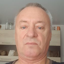 ������, ����-���������, 66 ���