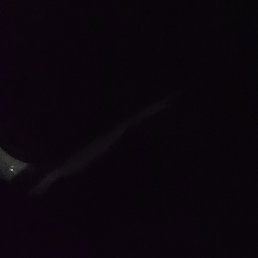 �����, ��������, 42 ����