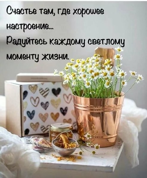   - 21  2023  08:04
