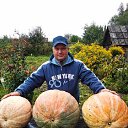 ���� ���������, ��������, 64 ���� - ��������� 1 ���� 2023