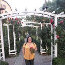 ���� ������, ���������, 44 ���� - ��������� 13 ������� 2023