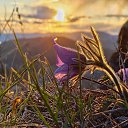 ���� ������, ����������, 54 ���� - ��������� 29 ���� 2023 � ������ ���� ����������