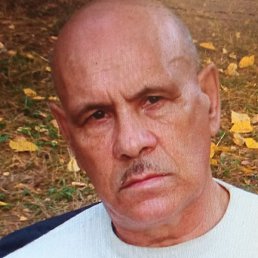 ��������, ������, 65 ���