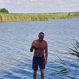 ����, ������, 44 ����