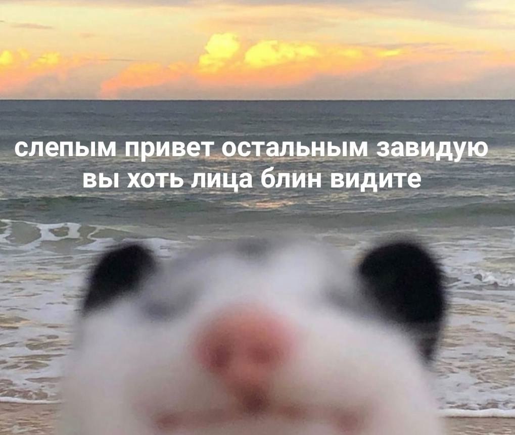    - 20  2023  17:43