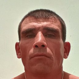 �������, ������, 43 ����