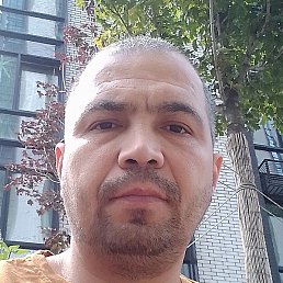 ���������, ������, 43 ����