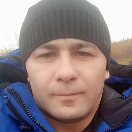 �����, �����-���������, 44 ����