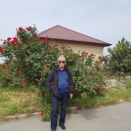 Arif, ����, 71 ���
