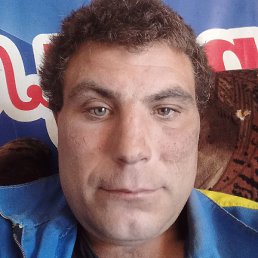 ������, ������, 41 ���