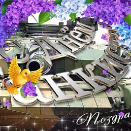 �������, ��������, 66 ���