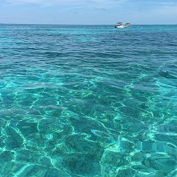 ����, ��������