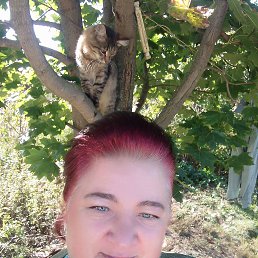 ���� ������, ��������, 44 ���� - ��������� 22 �������� 2023