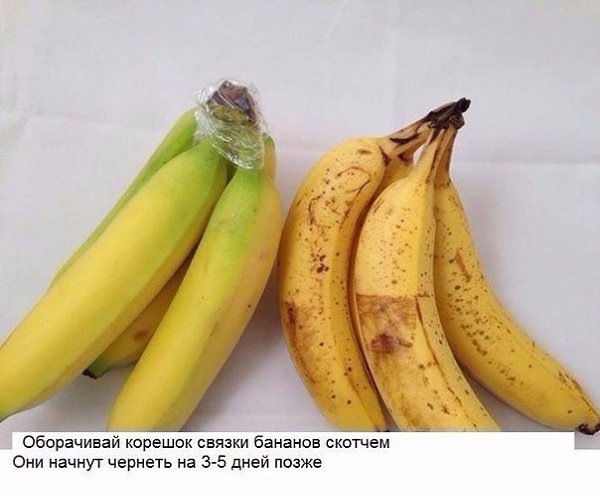 10 хитрых кухонных лайфхаков, о которых не знает даже твоя мама. - 4