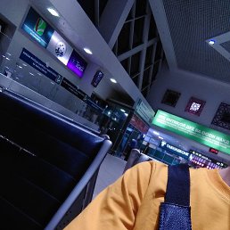 ����, �����-���������, 24 ����