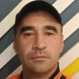 ���������., �����������-��-�����, 41 ���