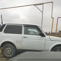 ���� ����, ������, 51 ��� - ��������� 13 ������� 2023