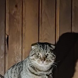 ���� ������, ������ �����, 56 ��� - ��������� 27 ���� 2023