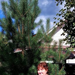 ���� ����, ������, 62 ���� - ��������� 13 �������� 2023