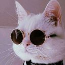 ���� ���������, ������, 21 ��� - ��������� 23 ���� 2023 � ������ ���� ����������