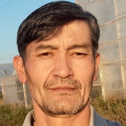 ������, ���, 37 ���