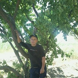 ���� ������, ������, 40 ��� - ��������� 12 �������� 2023