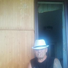 ���� �������, �����, 54 ���� - ��������� 15 ������� 2023